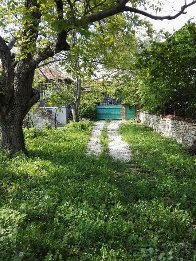 Beefree Villa Gorsko Slivovo Dış mekan fotoğraf
