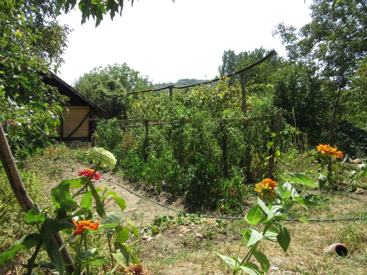 Beefree Villa Gorsko Slivovo Dış mekan fotoğraf