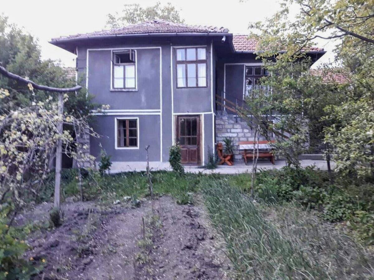 Beefree Villa Gorsko Slivovo Dış mekan fotoğraf
